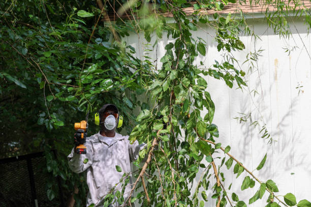 Best Weed Control  in Port Norris, NJ